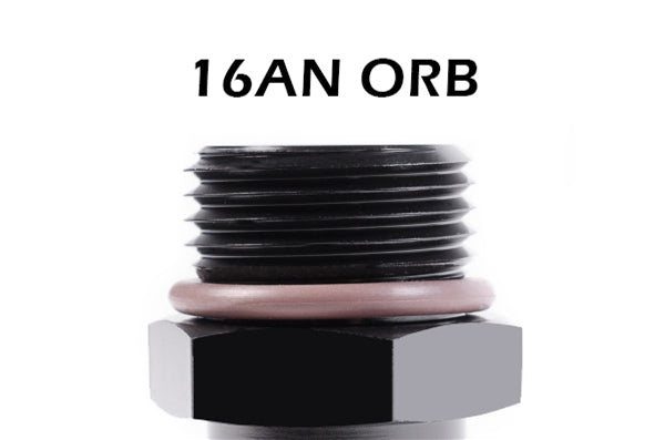 16AN ORB Fittings