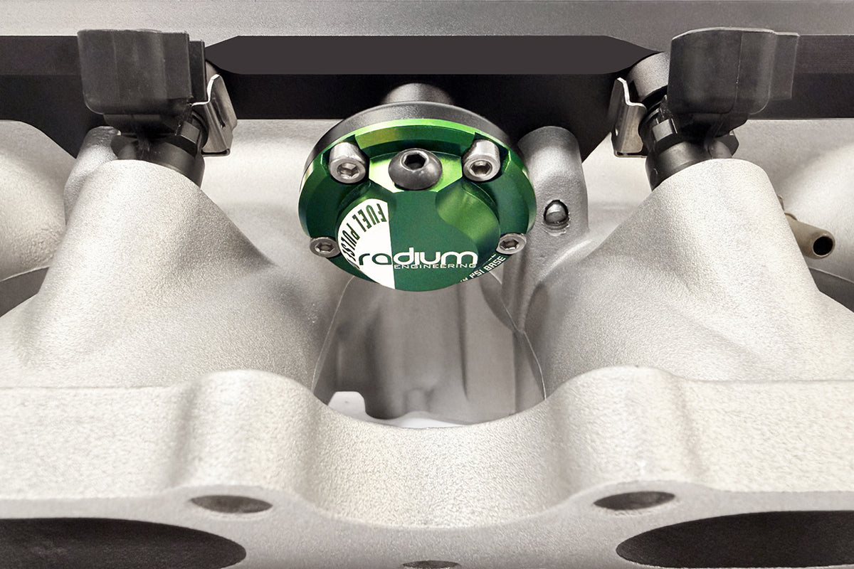 Optional Pulse Damper