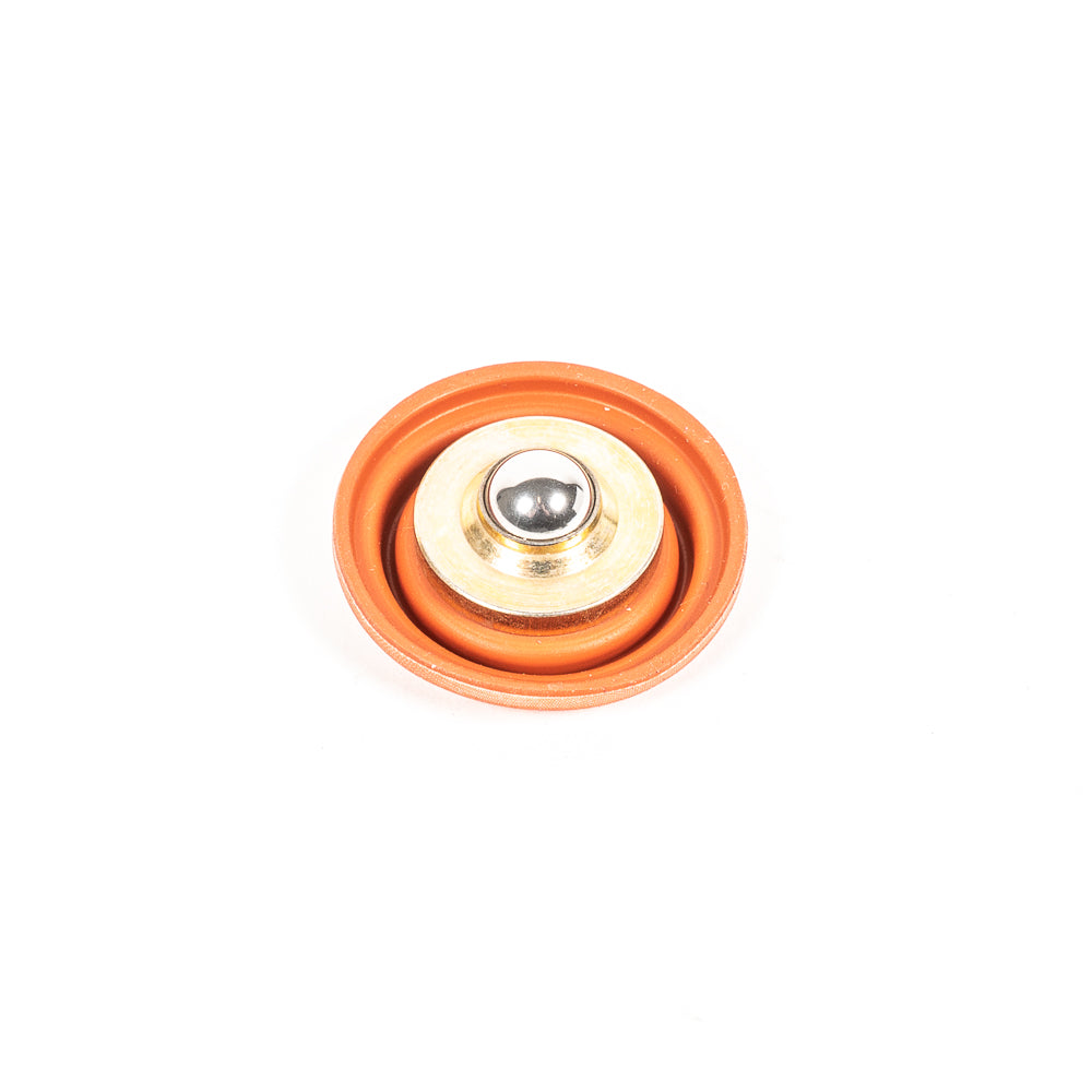 FPR Diaphragm Replacement