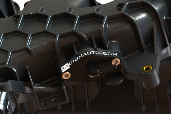 Sound Symposer Block-Off, 2013+ Focus ST