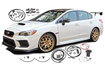 Fuel Delivery System, 08-21 Subaru WRX STi & 08-14 Subaru WRX