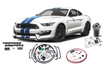 Fuel Delivery System, 15-17 Ford Mustang GT