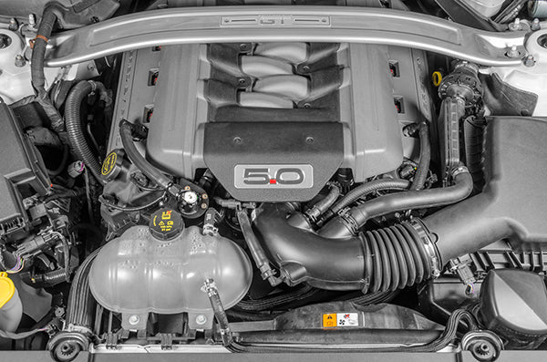 20-0325-FL Installed